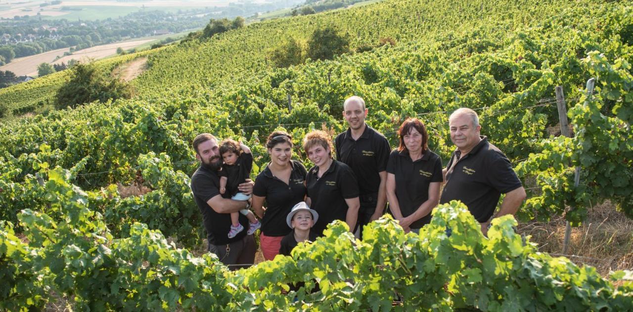 Weinschloesschen Im Weingut Roos Hotel Ilbesheim Eksteriør billede